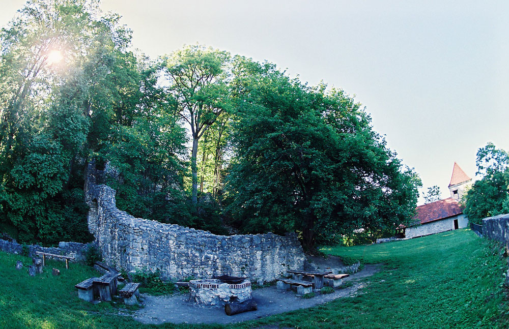 Ruine Kaltenburg 